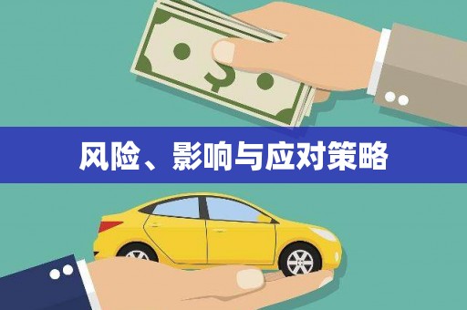 虾峙风险、影响与应对策略