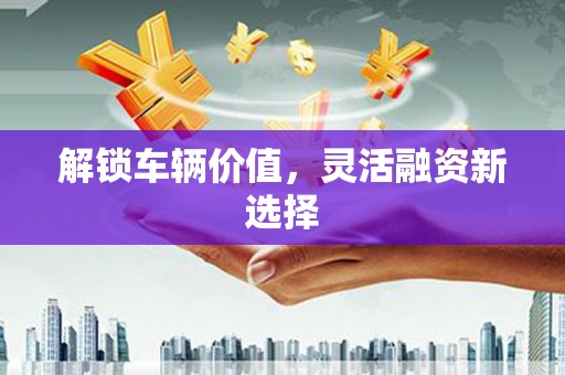 虾峙解锁车辆价值，灵活融资新选择