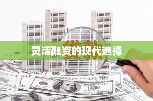 虾峙灵活融资的现代选择