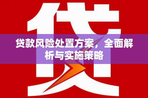 虾峙贷款风险处置方案，全面解析与实施策略
