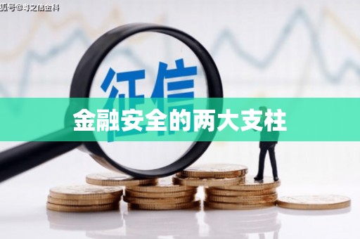 虾峙金融安全的两大支柱