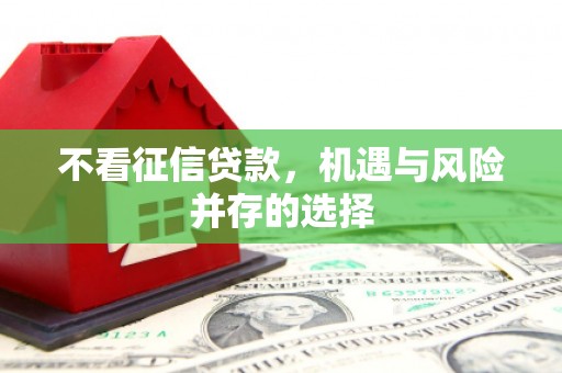 虾峙不看征信贷款，机遇与风险并存的选择