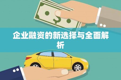 虾峙企业融资的新选择与全面解析