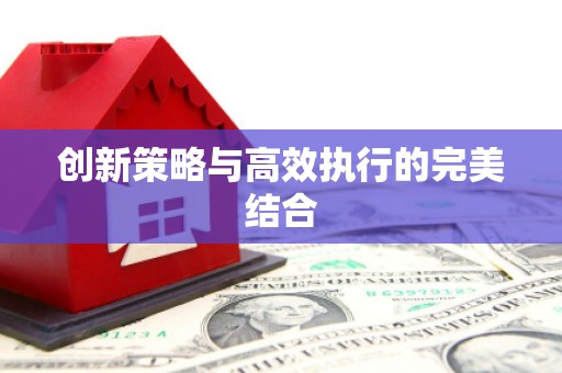 虾峙创新策略与高效执行的完美结合