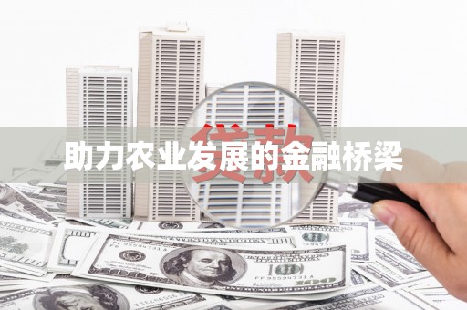 虾峙助力农业发展的金融桥梁