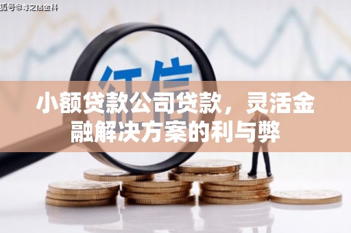 虾峙小额贷款公司贷款，灵活金融解决方案的利与弊